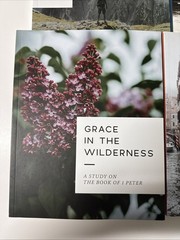 Lot of 6: The Daily Grace Co. Romans, TheSERMONon theMOUNT, +More