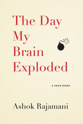 The Day My Brain Exploded: A True Story – Paperback – VERY GOOD