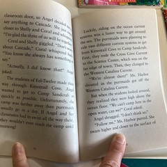 Purrmaids 7 Book Lot Sudipta Bardhan Quallen