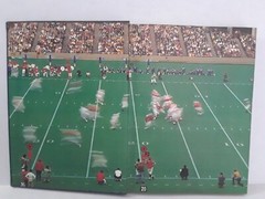 THE PRO FOOTBALL EXPERIENCE David BOSS 10.5 x 14 x 1.5 in Hardcover Coffee Table