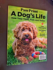 A Dog’s Life-Special Edition Magazine by Paw Print-How They Think, Feel & Thrive