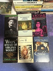 Lot of 38 Classic Paperback Literature Book Mix Signet Bantam Dante Dickens…