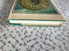 The Observer’s Book of Fossils by Rhona M. Black 1977 First Edition Hardback