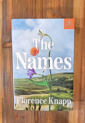„The Names” – Hardback Novel by Florence Knapp