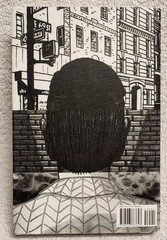 Paul Auster The New York Trilogy CITY OF GLASS Ghosts LOCKED ROOM Graphic Novel