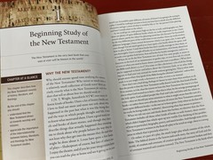 The New Testament in Its World by N.T. Wright & Micheal F. Bird HC 2019 SPCK