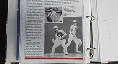 Vintage 1996 „Sports Pages: The Book For Sports Fans” Collector’s Hardcover Bind