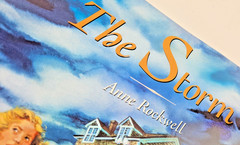 The Storm by Anne Rockwell Book for Children 11 x 9 Illustrated 1994 Paperback