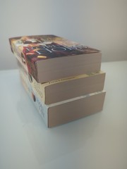 The Tawny Man Trilogy by Robin Hobb – Complete 3 Book Set