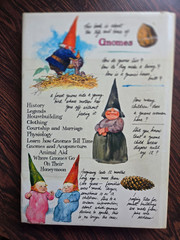 Gnomes by Wil Huygen & Rien Poortvliet 1977 Hardcover Illustrated Dust Jacket