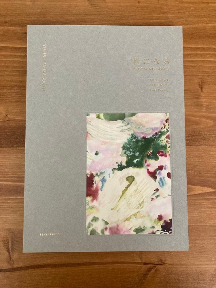 Yosuke Yamaguchi Become a Bone Art Book 96 Pages 9.8×7.2in Illustrated