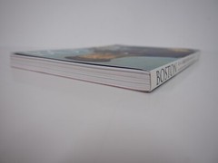 Great Collectors: Masterpieces from the Museum of Fine Arts, BOSTON Japanese art