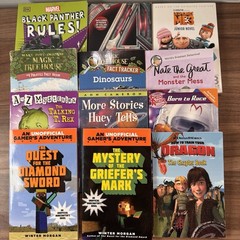 Lot Of 12 Chapter Books For Boys Black Panther Marvel Minecraft Dragon Dinosaurs