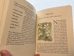 100 Flowers and How They Got Their Names – hardcover, 1565121384, Wells