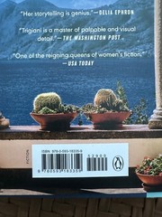 The View from Lake Como by Adriana Trigiani (2025, Hardcover). Like new