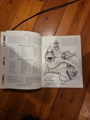 Strange Creatures of the Sea Coloring Book by Llyn Hunter (1991, Trade…