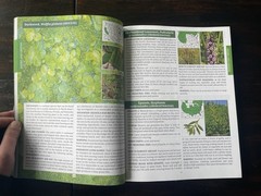 The Forager’s Guide to Wild Foods North American Edition by Nicole Apelian
