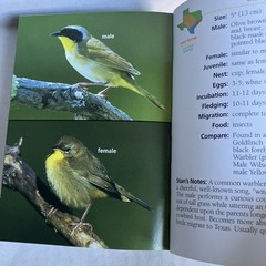 Birds of Texas Field Guide by Stan Tekiela – Nice Condition 2004 Color Travel SZ