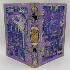 *Signed Fae Crate ed.* The Entanglement of Rival Wizards – Sara Raasch (2025 HC)