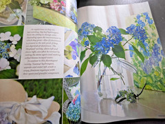 Victoria Classics Blissful Blue & White Magazine – Special Limited Spring Issue