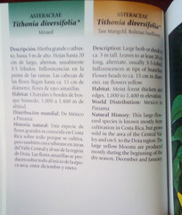 Plantas ornamentales nativas de Costa Rica Native Ornamental Plants (Spa/Eng)