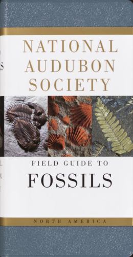 National Audubon Society Field Guide to North American Fossils, Ida Thompson, 97