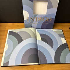 INDIGO The Untold Story of Doris Fisher (Hardcover, 2023) Melcher Gap Slipcase