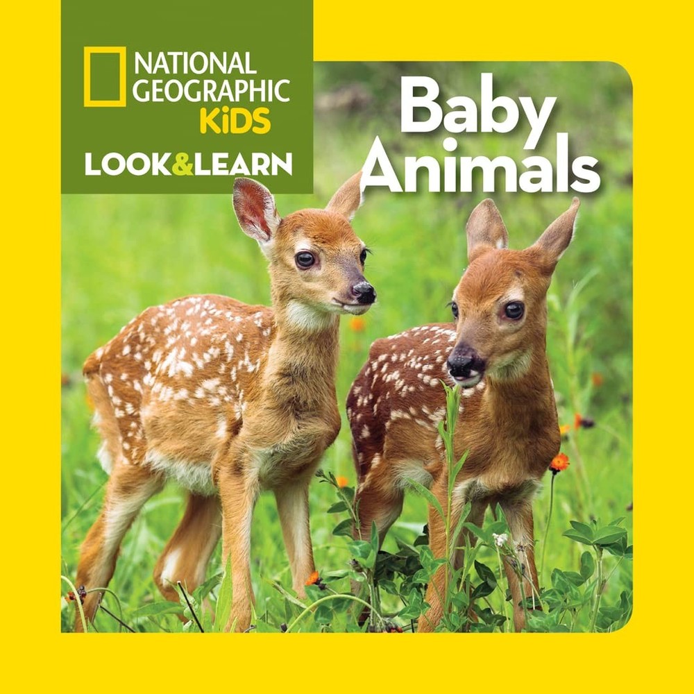ABIS Multicolor Board Book Baby Animals and Moms National Geographic Inspired