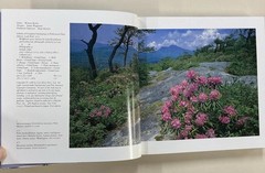 Wildflowers Across America HC Lady Bird Johnson and Carlton Lees 1988 Very Good