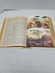 Vintage Holy Bible King James Version Our Family Bible” 1971 White & Gold 11.5