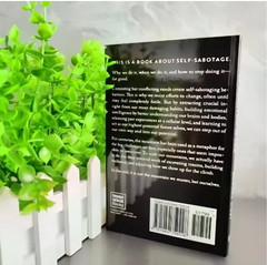 THE MOUNTAIN IS YOU BY BRIANNA WIEST PAPERBACK FREE SHIPPING
