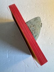 Cast a Giant Shadow Ted Berkman Very Good 1966 2nd Printing Pocket Vintage