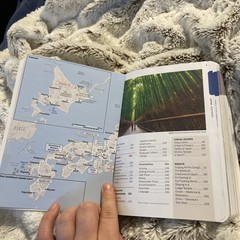 Lonely Planet Experience Japan