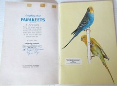1953 EVERYTHING ABOUT PARAKEETS BUDGIES HARTZ MANUAL HEALTH TRAINING TALKING USA