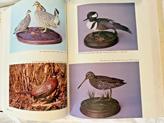 Game Bird Carving Tools Techniques Bruce Burk Vintage Book 1972 HC DJ Decoy