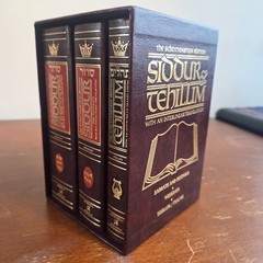 Schottenstein Siddur & Tehillim Interlinear Translation 3 Vol Set HC