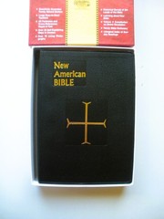 BIBLES & CHRISTIAN STUDY 9 Book Lot – Words of Jesus – The Message – Dictionary