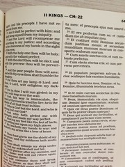 Bible Latin/English The Old Testament Volume 1 Vulgate & Challoner Rheims