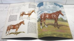 How To Draw Animals-Horses-Riders-Dancers Walter T Foster VTG Art Books Lot Of 4