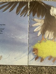 The Great Fuzz Frenzy By Janet Stevens (2005 Hardcover ) With Read Along CD