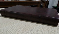 ESV Large Print Value Thinline Bible (TruTone, Mahogany, Border Design) by…