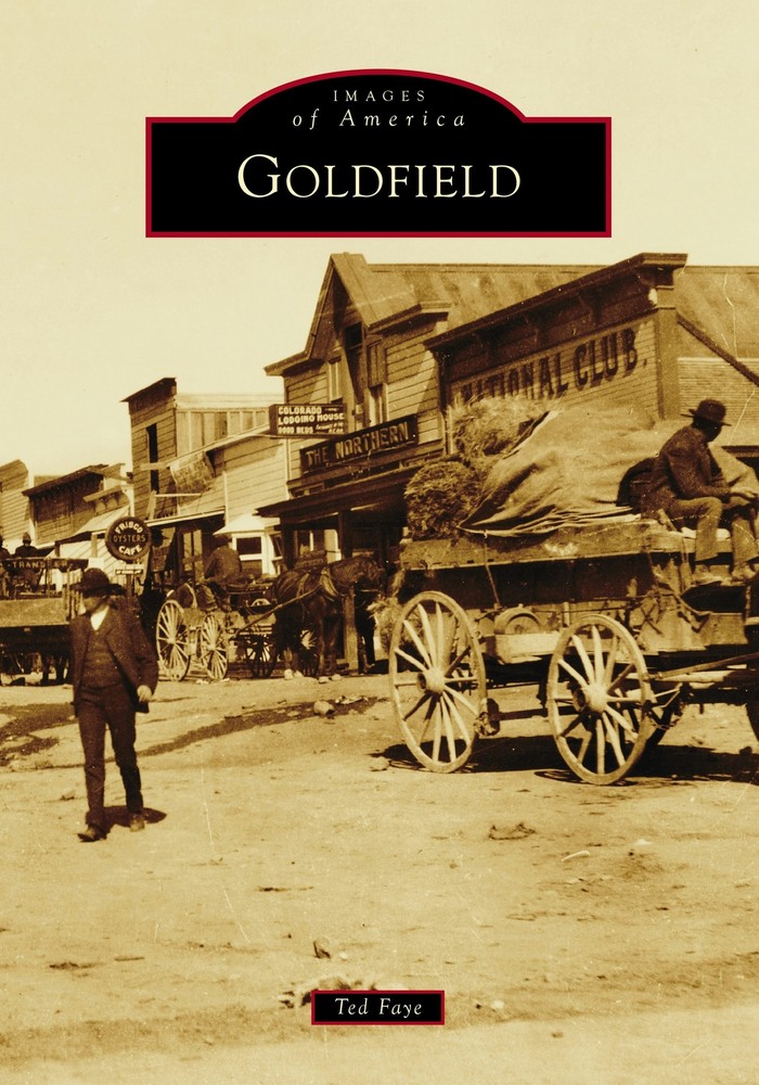 NEW Arcadia Publishing Goldfield, NV 9781467160025 Images of America Trade Paper