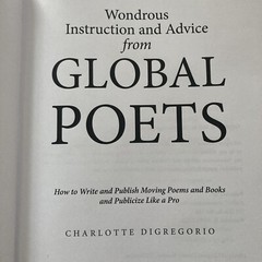 Wondrous Instruction And Advice From GLOBAL POETS by Charlotte Digregorio – New