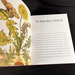Botanicals : Butterflies and Insects by Leslie K. Overstreet (2008, Hardcover)