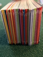 Bob Books Level 1 Set Collections 1 2 3 6 Early Reader Learn to Read Kids
