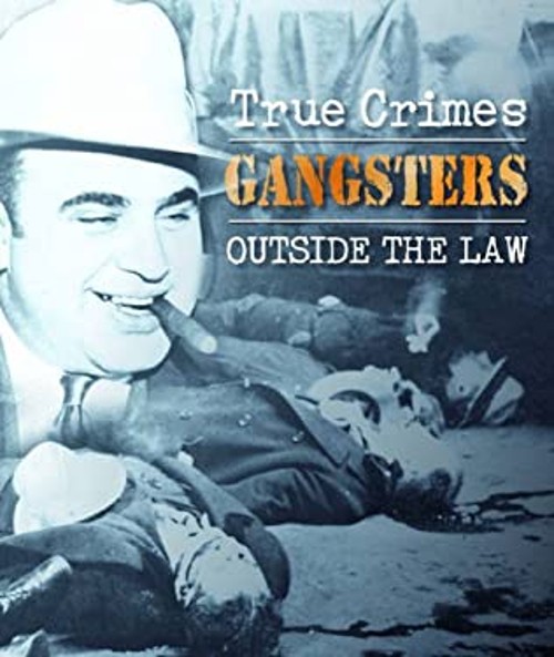 Gangsters Outside the Law Hardcover Michael Newton
