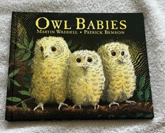 Owl🦉Babies📘Candlewick📀Storybook🥚Animations Book +DVD Martin Waddell FreeShip