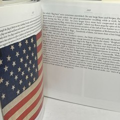 The Stars and the Stripes The American Flag as Art and History