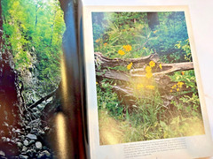 Alabama Book Photo And History Photos By Ed Malles Text By Coley Duncan