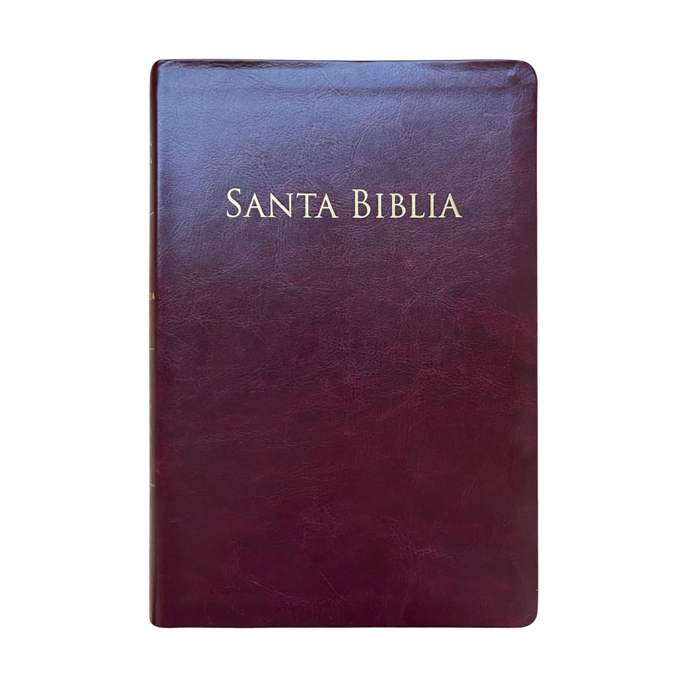 Valera 1602 Purificada Santa Biblia, 14-pt font (9.5 x 7 x 1.5) – Burgundy
